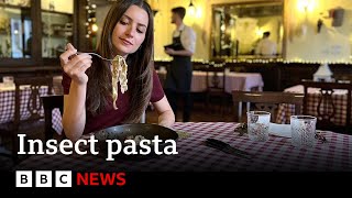 Italian food Insect pasta divides diners  BBC News [upl. by Ozen]