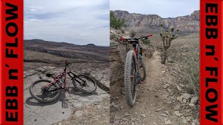 EBB n FLOW Might Be The Most Fun Well Built Trail Ive Ever Ridden [upl. by Retepnhoj]