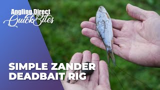 How To Tie A Simple Zander Deadbait Rig – Predator Fishing Quickbite [upl. by Annaig]