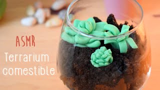 ASMR ✨ Terrarium comestible 🌱 [upl. by Enelam442]