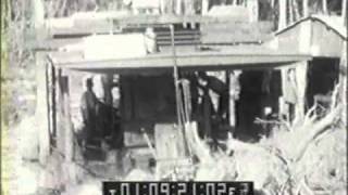 Cypress Logging in Louisiana circa 1925 Part 1 of 2 [upl. by Nidia]