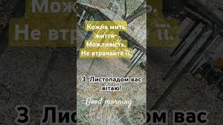 природа осінь листопад лисття goodmorning [upl. by Stevena]