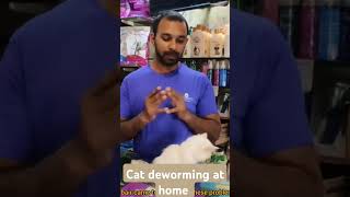 cat deworming at home cat deworming medicine and dosage part 2 cat deworming medicine cats [upl. by Garlaand]