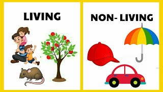 living things and nonliving things  Living and non living things for kids  Living and non living [upl. by Chery]