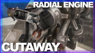 INSIDE LOOK How a Radial Engine Works AMAZING Cutaway in Motion [upl. by Nylyrehc]