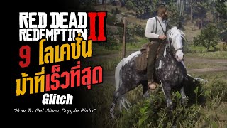 RDR2  quot9 โลเคชั่น ม้าที่เร็วที่สุดquot Silver Dapple Pinto [upl. by Nilpik]