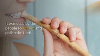 10 Scientifically Proved Benefits of Miswak  Miswak Tree [upl. by Nollek]