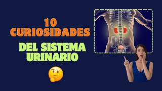 10 Curiosidades del Sistema Urinario que Cambiarán tu Forma de Pensar [upl. by Rue]