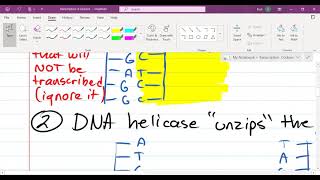 AP Biology Unit 6  Lesson 58 Intro to Operons The trp Operon [upl. by Christine]