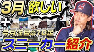 【スニーカー】3月に欲しいと思っているスニーカー今月注目の10足を紹介！！2024年3月【ナイキアディダスコンバースニューバランス】 [upl. by Olram]