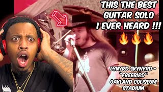 MY FIRST TIME WATCHING  Lynyrd Skynyrd  Freebird  721977  Oakland Coliseum Stadium REACTION [upl. by Mordy]