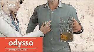 Wie sich der Körper vom Alkohol erholt  SWR Wissen [upl. by Giacamo]