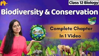 Biodiversity and Conservation Class 12 Biology One shot  CBSE NEET  NCERT Chapter [upl. by Norita]