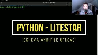 Python  Litestar  Schema and file upload [upl. by Elaynad788]