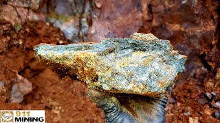 Rich Gold Bearing Vein Found In Roadside Outcrop [upl. by Chavey]