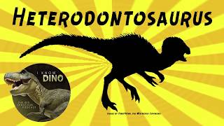 Heterodontosaurus Dinosaur of the Day [upl. by Aerdnek]