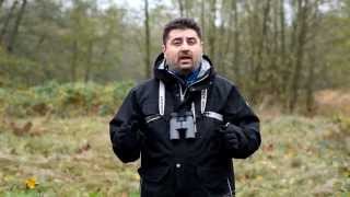 Zeiss 10x42 Terra ED Binoculars  Product Review Video [upl. by Emlin]