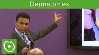 Dermatomes Overview – MRCS  Lecturio [upl. by Attenyl]