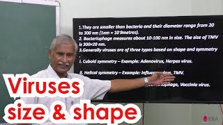 6Botany  The living world  virus  shape and size [upl. by Annayi]