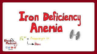 Anaemia anemia  classification microcytic normocytic and macrocytic and pathophysiology [upl. by Nnav]