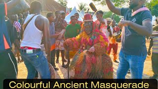 Afia Olu NnewiNew Yam Festival 2023  More Videos A Colourful Celebration Of Igbo Culture [upl. by Kannry340]