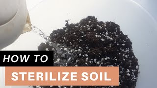 How I Mix and Sterilize Soil for Houseplants  Sterilize soil with boiling water [upl. by Aicilat284]