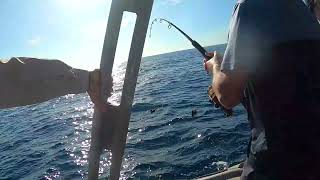 Esperance Deep Sea Angling Classic [upl. by Kauffmann]