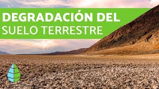 Degradación del suelo terrestre  CAUSAS Y CONSECUENCIAS [upl. by Avah]