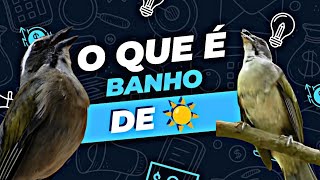 VOCÊS SABEM O QUE É O BANHO DE SOL ☀️ [upl. by Ahsel]