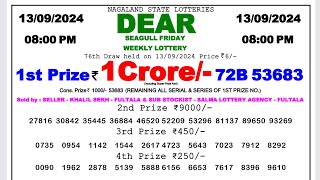 ✅ LIVE  Nagaland Lottery Sambad 8pm 130924  OFFICIAL RESULT [upl. by Melnick]