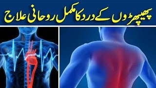 lungs infection treatment in urdu [upl. by Gnni]