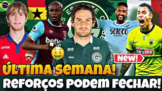 💚🔥 AINDA PODEM FECHAR 7 JOGADORES LIVRES NO MERCADO QUE PODEM ASSINAR COM O GOIÁS PARA A SÉRIE B [upl. by Steffie873]