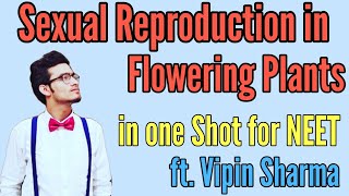 Sexual Reproduction in Flowering Plants in One Shot for NEET ft Vipin Sharma  NCERT Biology Class [upl. by Dieball]