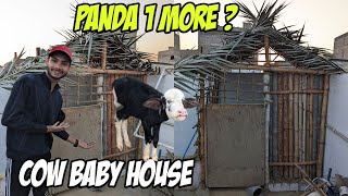 Amazing making Cage of Animals  Cow Baby Ka house Bangya pets cow aseel goat [upl. by Akirdnuhs519]