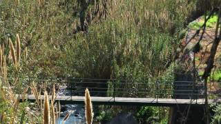 Mirador de ses Barques Video2 Fornalutx Soller Spain [upl. by Nahgen50]