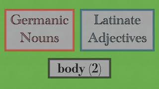 Germanic Nouns VS Latinate Adjectives body parts 2 [upl. by Dnyletak]