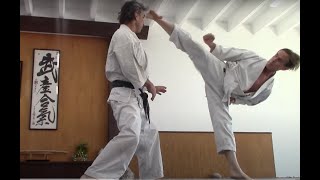 Zen Karate  Rick Hotton [upl. by Ankeny231]