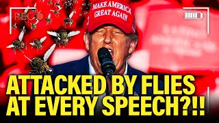 Trump SWARMED BY FLIES at Speeches…WTF is Happening [upl. by Enaelem]