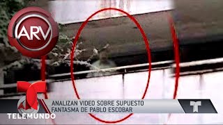 Analizan video del fantasma de Pablo Escobar  Al Rojo Vivo  Telemundo [upl. by Enutrof]