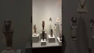 Mummy’s Tomb Exhibit museum mummy egypt history shorts short shortvideo shortsvideo cool [upl. by Nahum]