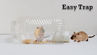 Easy Mouse TrapRat Trap  Mole Trap [upl. by Ajtak]