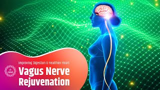 Vagus Nerve Rejuvenation Soothing Frequency For Improving Digestion amp A Healthier Heart  528hz [upl. by Ecirual]