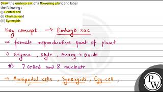 Draw the embryo sac of a flowering plant and label the following i Central cellii Chalazal [upl. by Theresita]