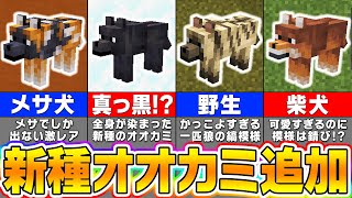 【マイクラ121】新種のオオカミが大量追加！121アップデート最新要素を全種類徹底紹介！【まいくら・マインクラフト】 [upl. by Halueb]