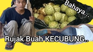 Rujak KECUBUNG Bikin Gila [upl. by Teryl]