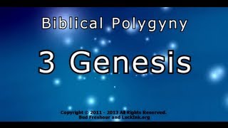 Biblical Polygyny Part 3 Genesis  by Dr Luck from Polygamy HQ [upl. by Fulvia718]