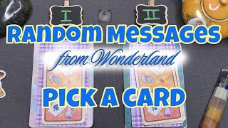 Random Message from Wonderland PICK A CARD [upl. by Jarietta]