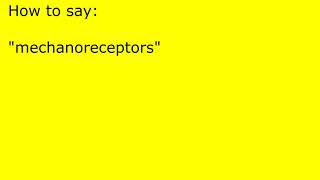 How to pronounce mechanoreceptors [upl. by Aicats]