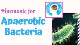 Anaerobic Bacteria Mnemonic for USMLE Step 1  MedSurvival [upl. by Bayer]