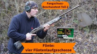 FangschussBeschusstest Teil 2 Flinte – vier Flintenlaufgeschosse von Brennecke auf kurze Distanz [upl. by Yardna]